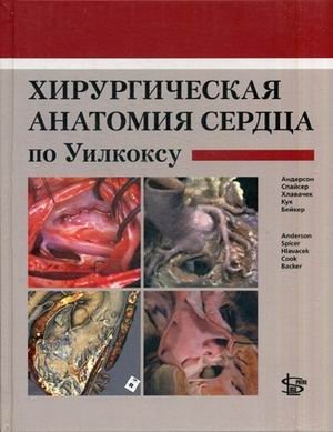 Хирургическая анатомия сердца по Уилкоксу | Wilcox Surgical Anatomy of the Heart