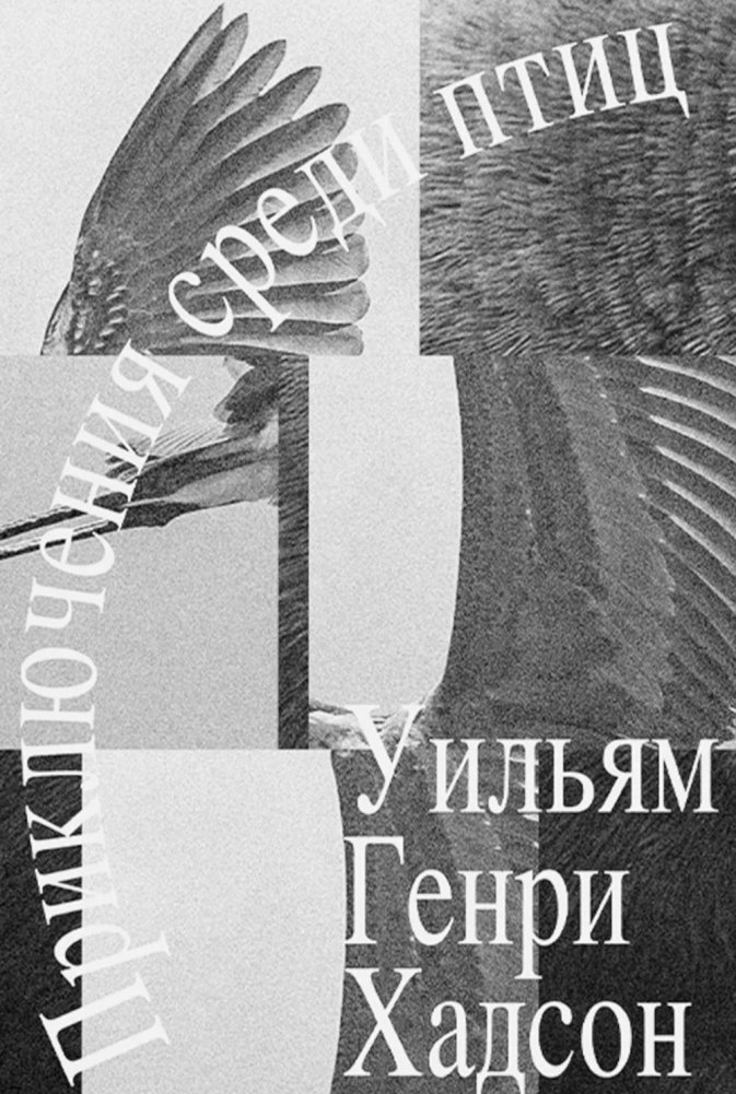 Приключение среди птиц | Adventures Among Birds