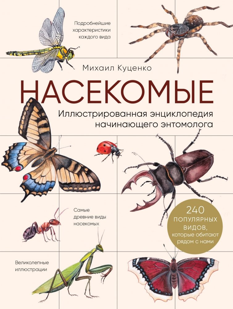 Насекомые. Иллюстрированная энциклопедия начинающего энтомолога. 240 популярных видов, которые обитают рядом с нами | Insects: An Illustrated Encyclopedia for the Budding Entomologist