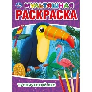 Тропический лес | Tropical Forest