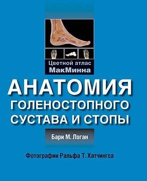 Анатомия голеностопного сустава и стопы | Anatomy of the Ankle Joint and Foot