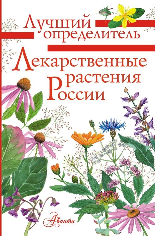 Лекарственные растения России | Medicinal Plants of Russia