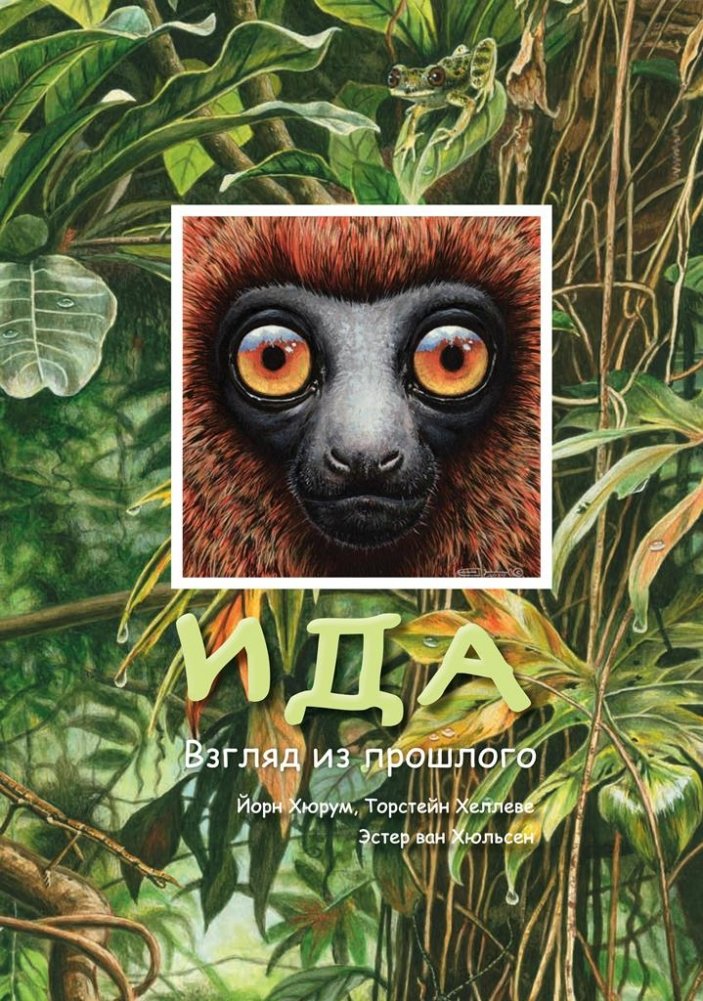 Ида. Взгляд из прошлого | Ida: A Look from the Past