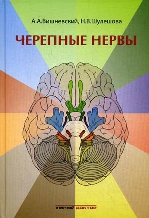 Черепные нервы | Cranial Nerves