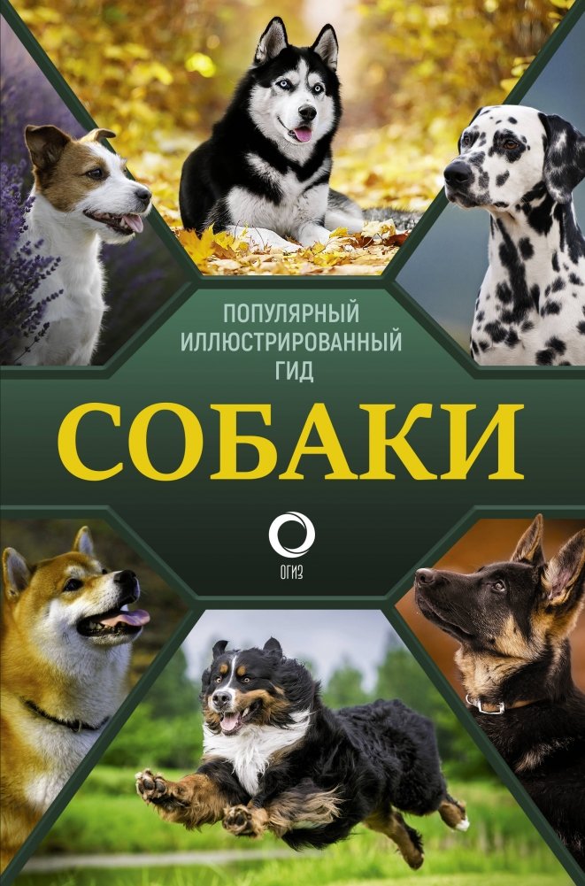 Собаки. Популярный иллюстрированный гид | Dogs: A Popular Illustrated Guide