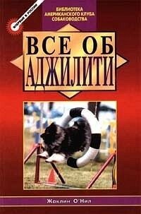 Все об аджилити | All About Agility