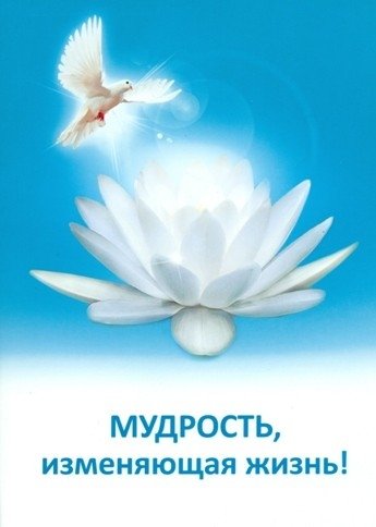 Мудрость, изменяющая жизнь | Life-Changing Wisdom