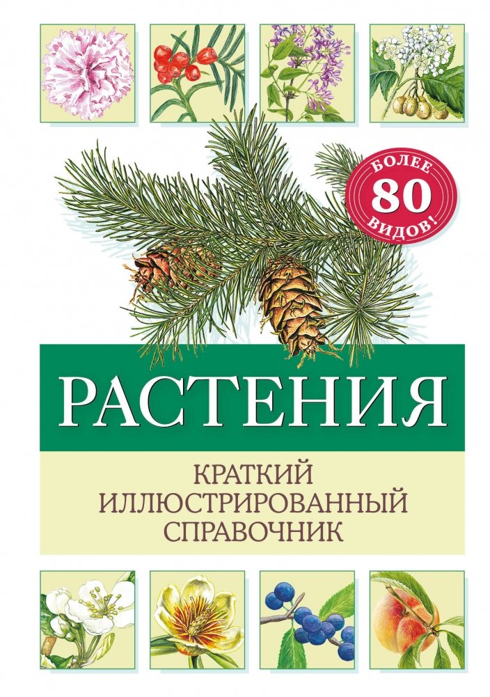 Растения. Краткий иллюстрированный справочник | Plants: A Concise Illustrated Guide