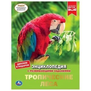 Тропические леса | Tropical Rainforests