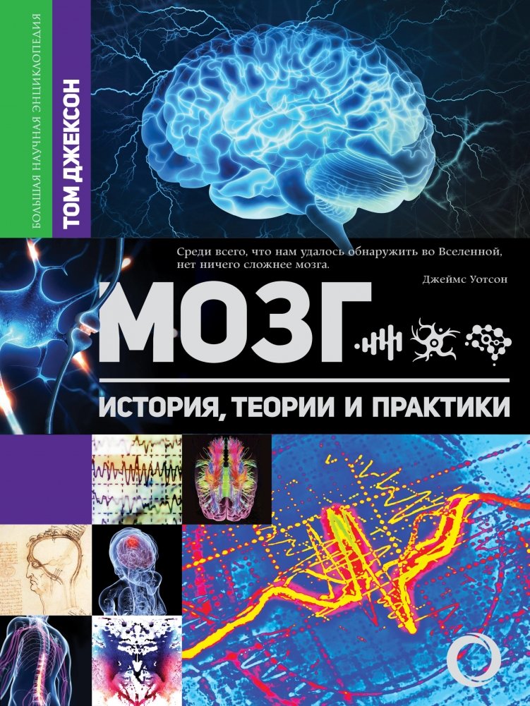 Мозг. История, теории и практики | The Brain: History, Theories, and Practices