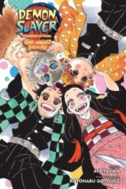 Demon Slayer Kimetsu Noyaibapa | Demon Slayer Kimetsu no Yaiba Novels
