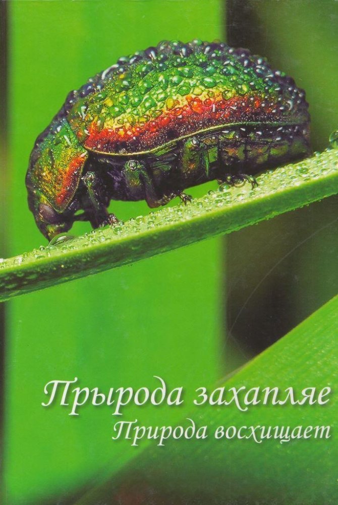 Прырода захапляе. Мая Беларусь. Фотаальбом | Pryroda zakhapliae. Maia Belarus'. Fotaal'bom