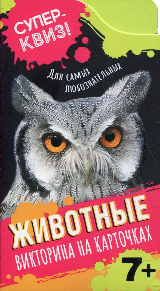 Животные (викторина на карточках) | Animals (Card Quiz)