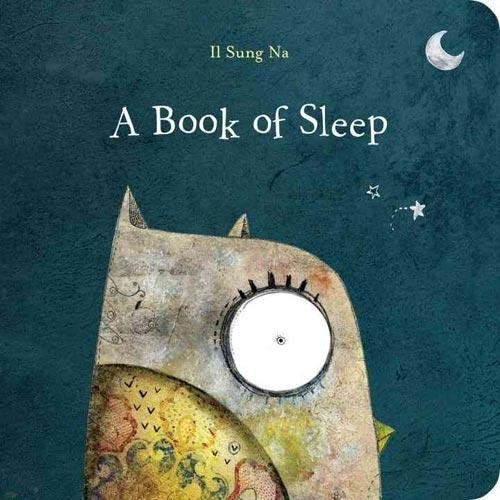 A Book of Sleep | A Book of Sleep