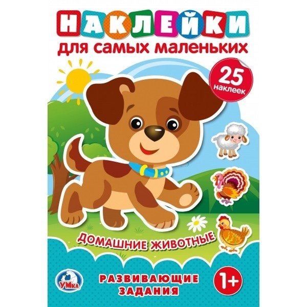 Домашние животные | Pets