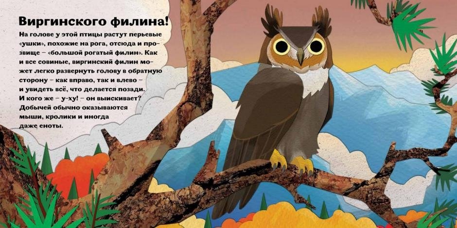 Птицы от клюва до хвоста. Букашки от носа до хвоста | Birds from Beak to Tail. Bugs from Nose to Tail