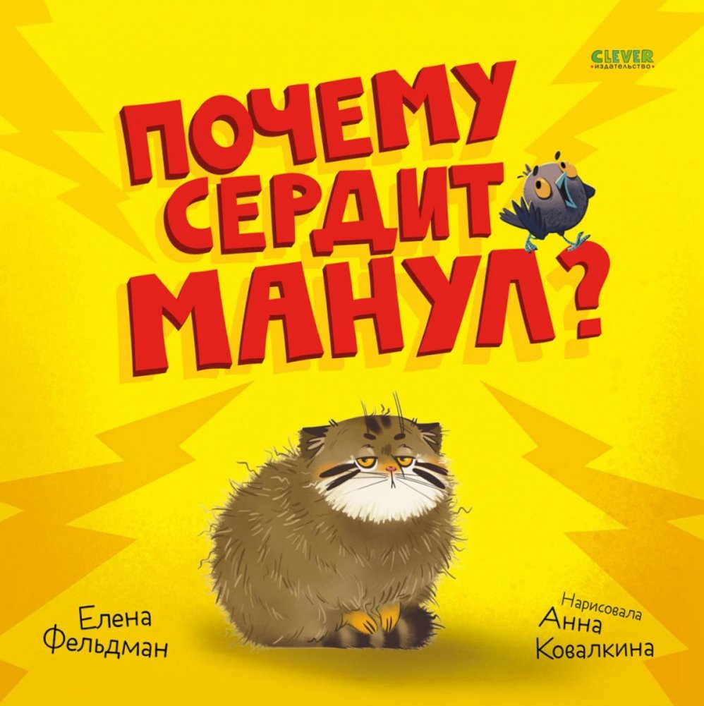 Почему сердит манул? | Why is the Manul Angry?