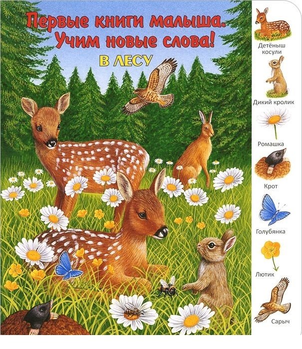 Где обитают животные. Первые книги малыша | Where Animals Live: My First Book