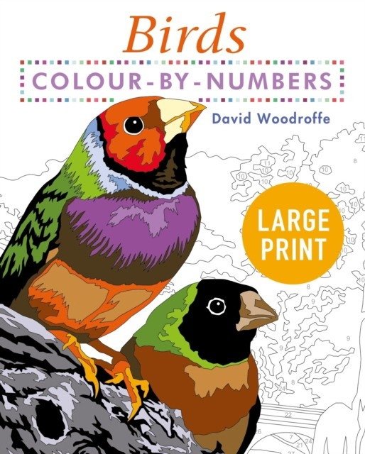 Большая раскраска по номерам: птицы | Large Print Colour by Numbers: Birds