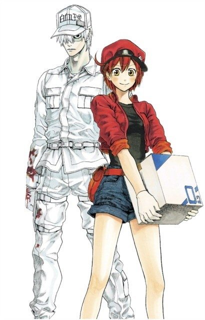 Cells At Work! Manga Box Set | The Gap and The Gain: The High Achievers' Guide to Happiness
