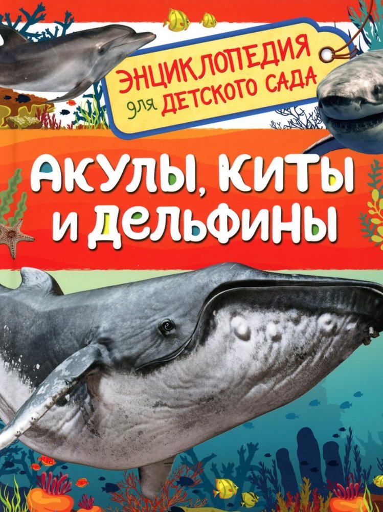 Акулы, киты и дельфины (Энциклопедия для детского сада) | Sharks, Whales, and Dolphins (Encyclopedia for Kindergarten)