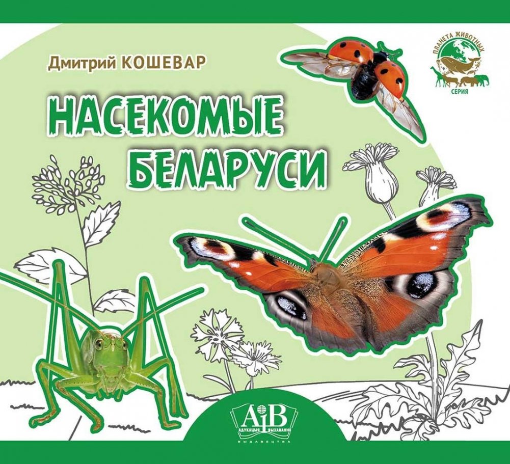 Насекомые Беларуси | Insects of Belarus