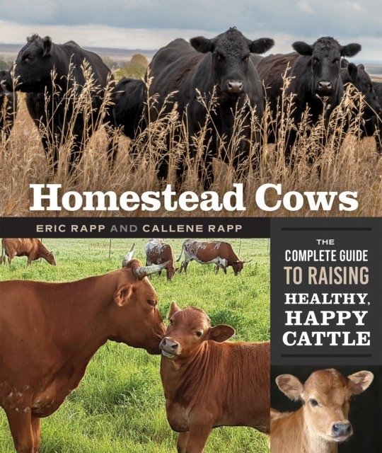 Homestead Cows: The Complete Guide to Raising Healthy, Happy Cattle | Homestead Cows: The Complete Guide to Raising Healthy, Happy Cattle