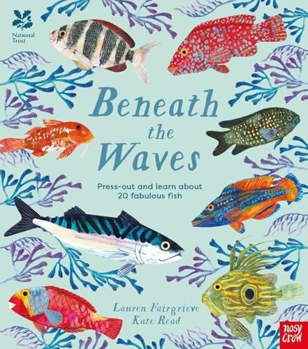 National Trust: Beneath the Waves | National Trust: Beneath the Waves