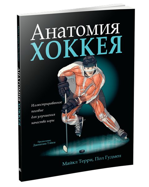 Анатомия хоккея | Hockey Anatomy