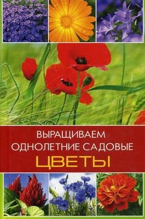 Выращиваем однолетние садовые цветы | Growing Annual Garden Flowers