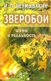 Зверобой: мифы и реальность | St. John's Wort: Myths and Reality
