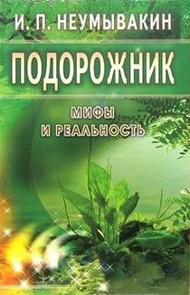 Подорожник: мифы и реальность | Plantain: Myths and Reality