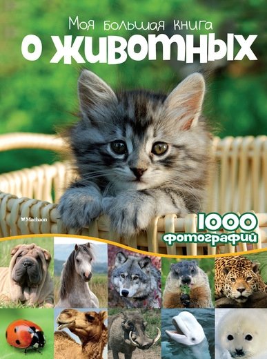 Моя большая книга о животных | My Big Book of Animals