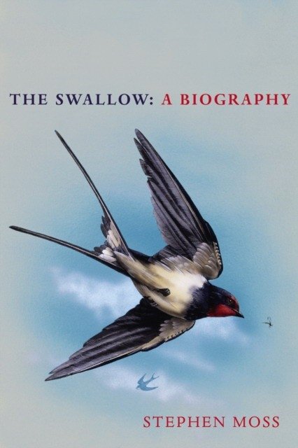The Swallow: A Biography | The Swallow: A Biography