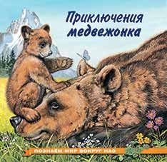 Приключения медвежонка | The Adventures of a Bear Cub
