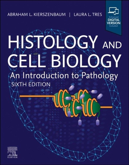 Гистология и клеточная биология: введение в патологию | Histology and Cell Biology: An Introduction to Pathology