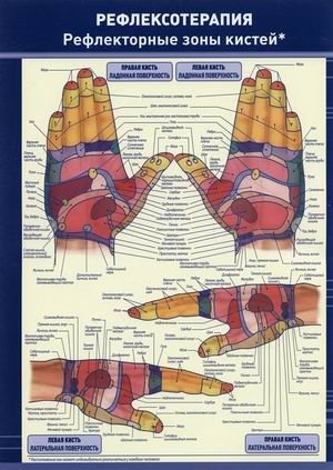Рефлексотерапия. Рефлекторные зоны кистей