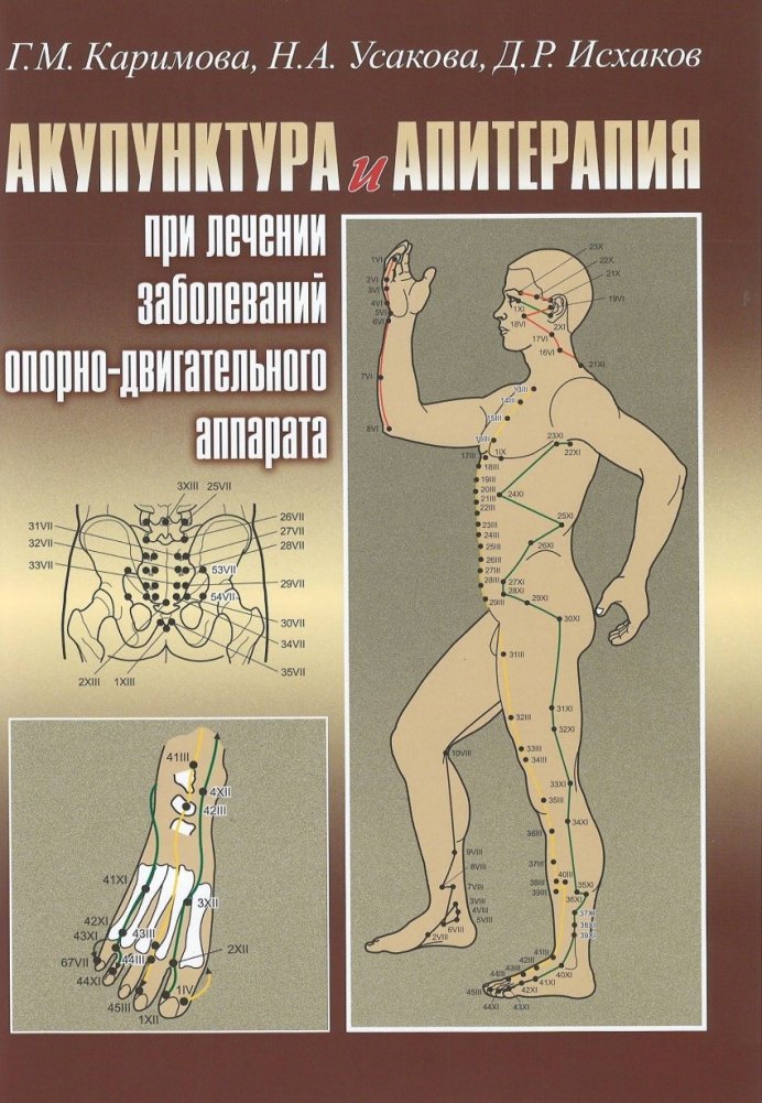 Акупунктура и апитерапия при лечении заболеваний опорно-двигательного аппарата | Acupuncture and Apitherapy for Musculoskeletal Disorders