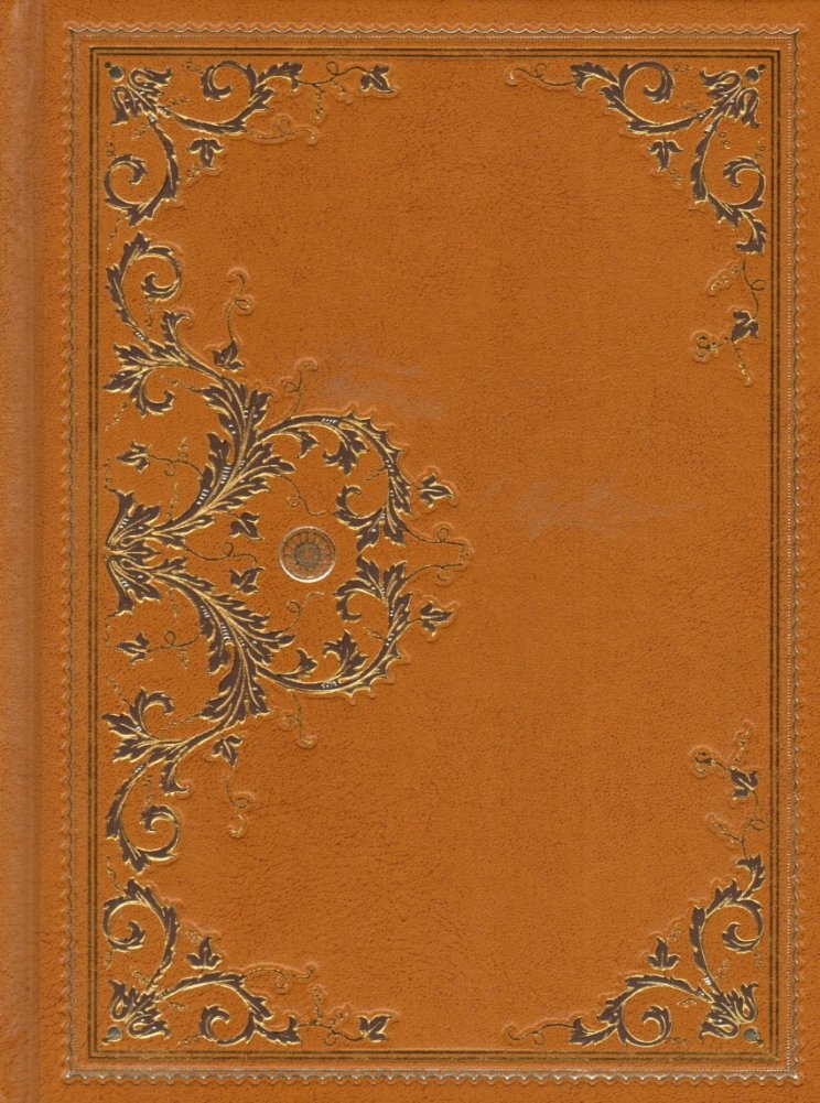 Золотой браслет. Охотники на медведя. Подарочное издание | The Golden Bracelet. Bear Hunters. Gift Edition