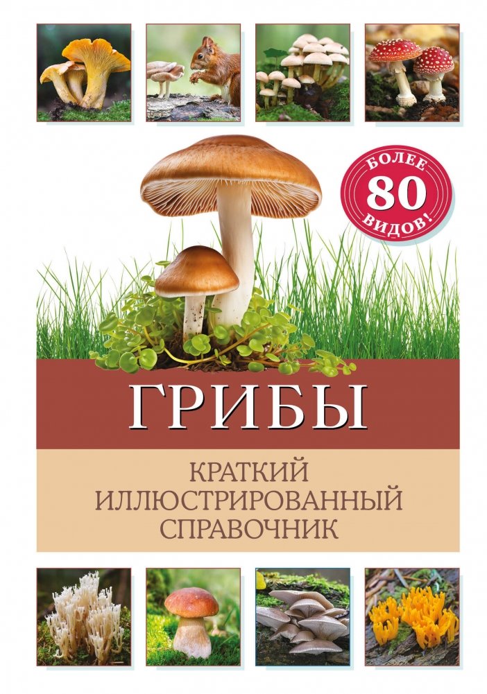 Грибы. Краткий иллюстрированный справочник | Mushrooms: A Concise Illustrated Guide