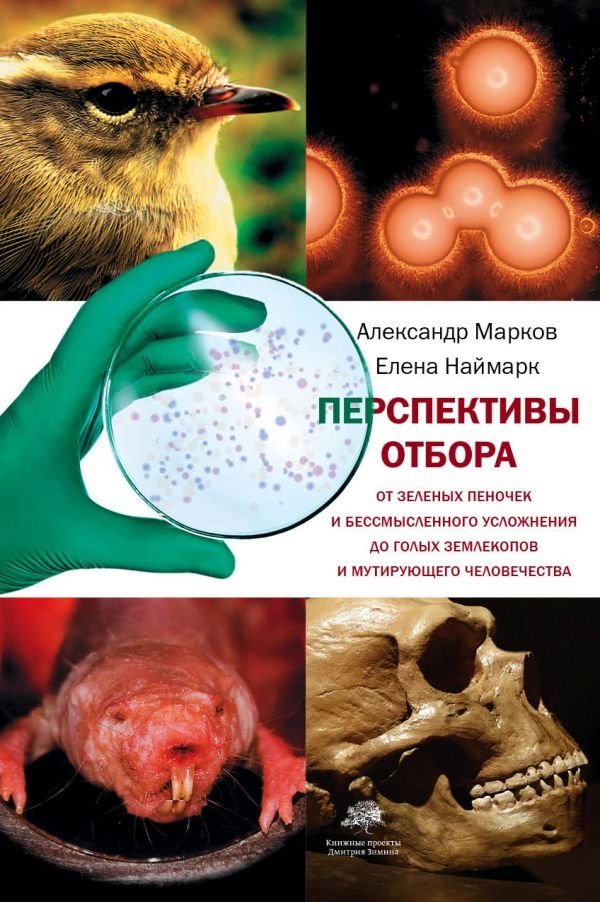 Перспективы отбора | Prospects of Selection