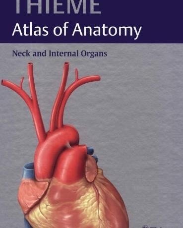 Шея и внутренние органы (Атлас анатомии THIEME) | Neck and Internal Organs (THIEME Atlas of Anatomy)