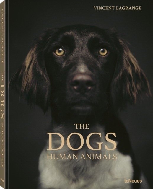 Собаки. Человечные животные | The Dogs. Human Animals