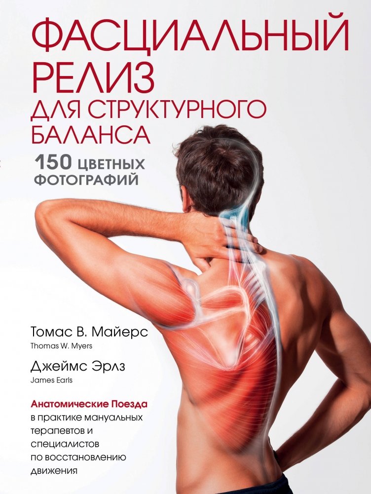 Фасциальный релиз для структурного баланса | Fascial Release for Structural Balance
