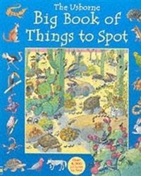 Большая книга находок Usborne | The Usborne Big Book of Things to Spot