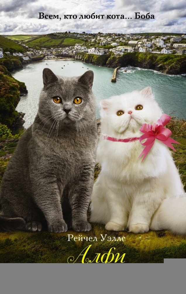 Алфи на каникулах | Alfie on Vacation