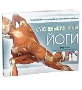 Ключевые мышцы йоги | Key Muscles of Yoga
