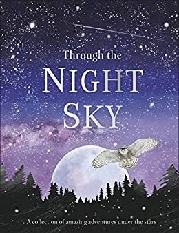 Сквозь ночное небо: Удивительные приключения под звездами | Through the Night Sky: Amazing adventures under the stars