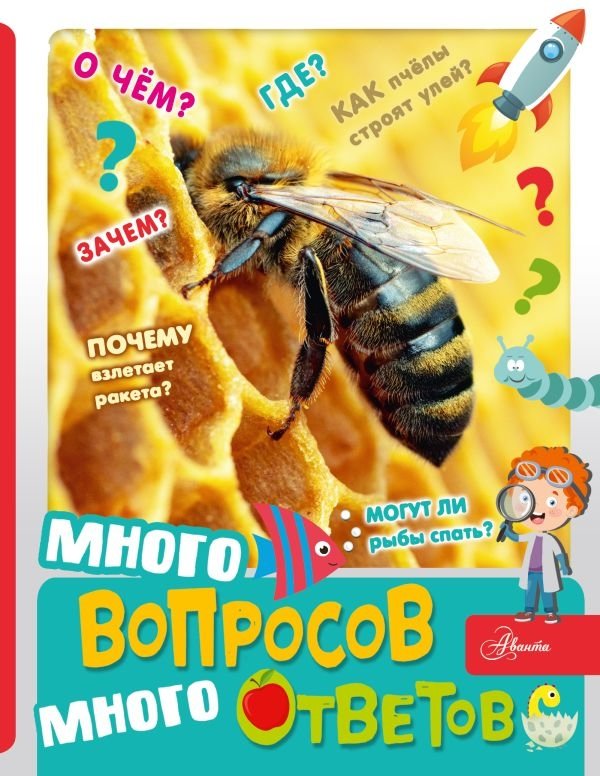 Много вопросов, много ответов | Many Questions, Many Answers