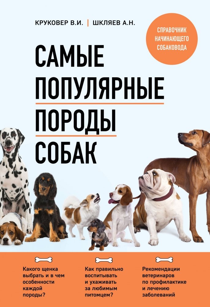 Самые популярные породы собак (новое оформление 2024) | Most Popular Dog Breeds (New Design 2024)